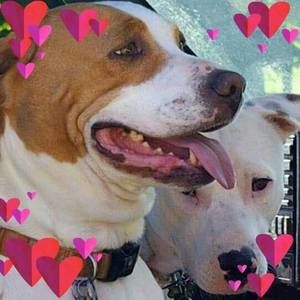 Meet your Posher, Beckie